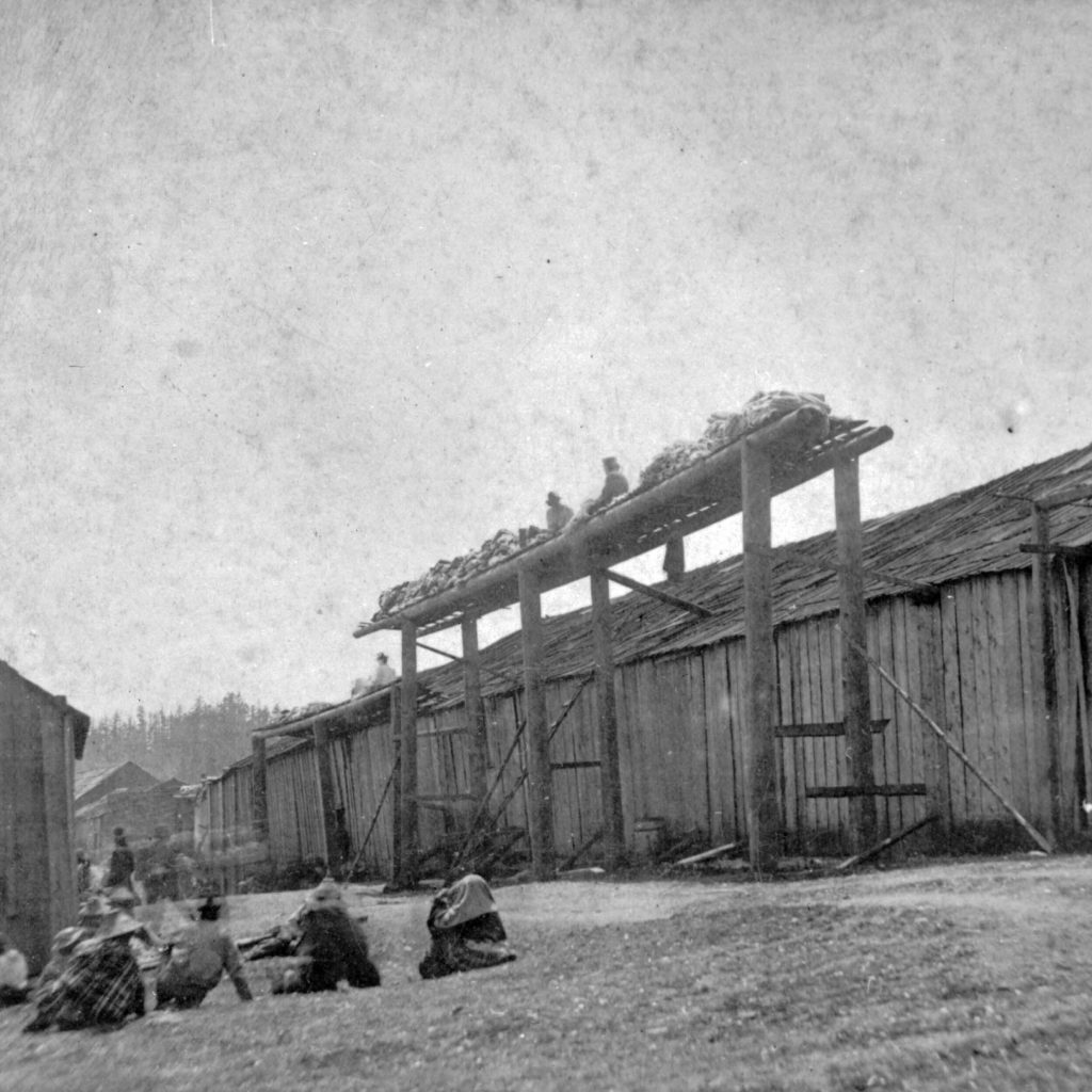 pn01465 (Row of Longhouses at Sti’ilup (Departure Bay), circa 1870) .pdf